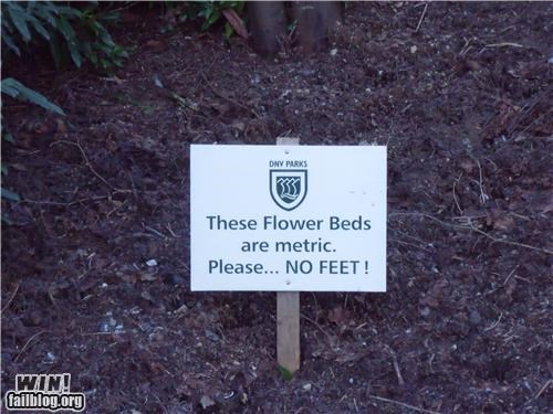 Metric Flower Bed WIN