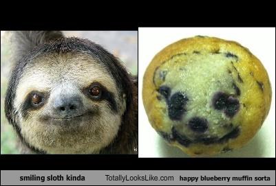 smiling sloth kinda Totally Looks Like happy blueberry muffin sorta