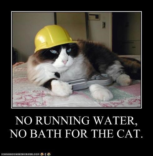 NO RUNNING WATER,  NO BATH FOR THE CAT.
