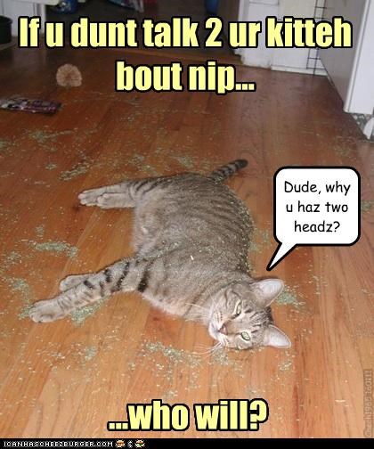 Kittehz Wurdz uv Wizdum