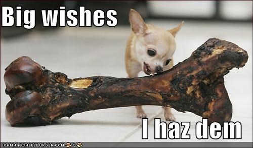 Big wishes  I haz dem