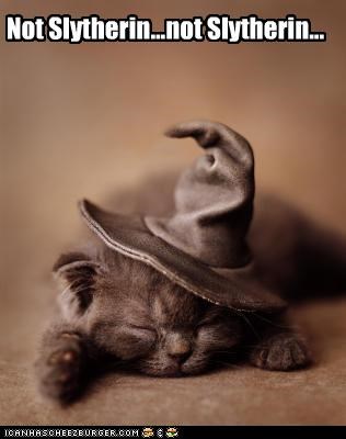 Not Slytherin...not Slytherin...