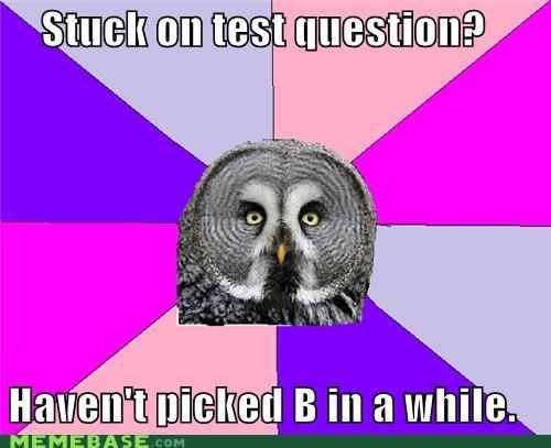 Wise Owl: Test Question