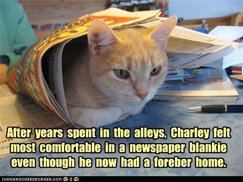 After  years  spent  in  the  alleys,  Charley  felt  most  comfortable  in  a  newspaper  blankie  even  though  he  now  had  a  foreber  home.