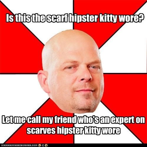 Is this the scarf hipster kitty wore?
