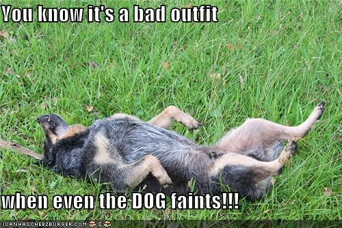 You know it's a bad outfit  when even the DOG faints!!!