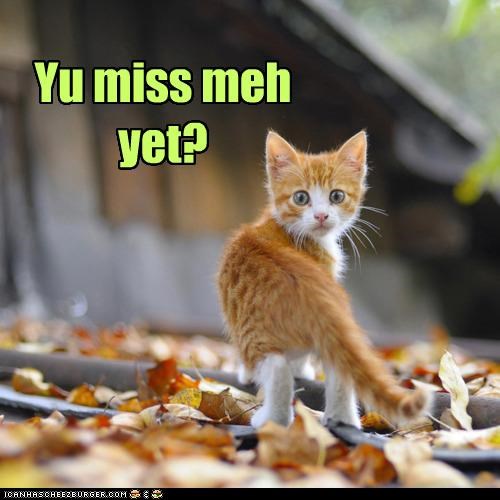 Yu miss meh, Nao? How 'bowt Nao?