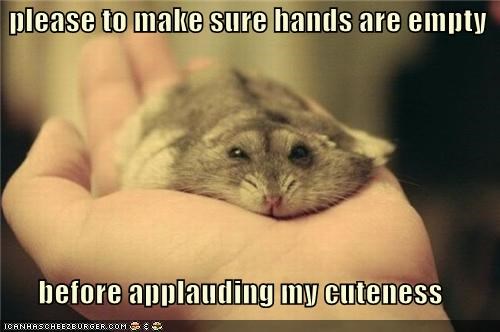 please to make sure hands are empty  before applauding my cuteness