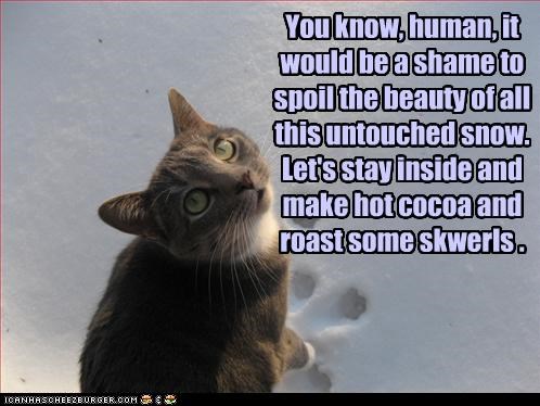 You know, human, it would be a shame to spoil the beauty of all this untouched snow. Let's stay inside and make hot cocoa and roast some skwerls .