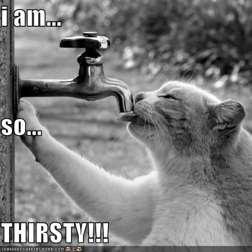 i am... so... THIRSTY!!!