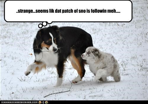 ..strange...seems lik dat patch of sno is followin meh.....