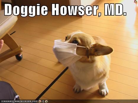 Doggie Howser, MD.