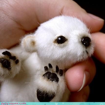 Acting Like Animals: NEWBORN POLAR BEAR. REPEAT. NEWBORN POLAR BEAR.