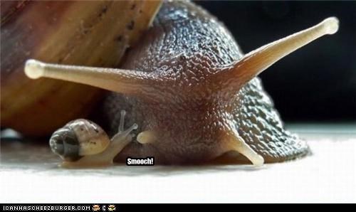Teeny smooch!