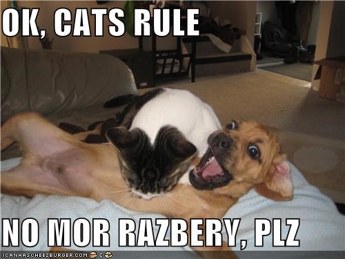 OK, CATS RULE  NO MOR RAZBERY, PLZ