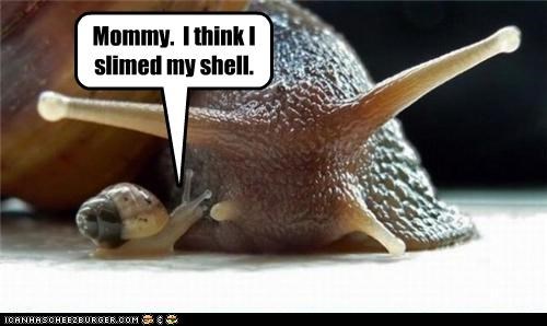 Mommy.  I think I slimed my shell.