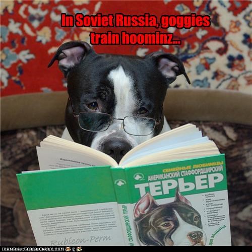 In Soviet Russia, goggies train hoominz...