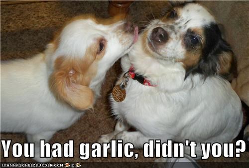 You had garlic, didn't you?