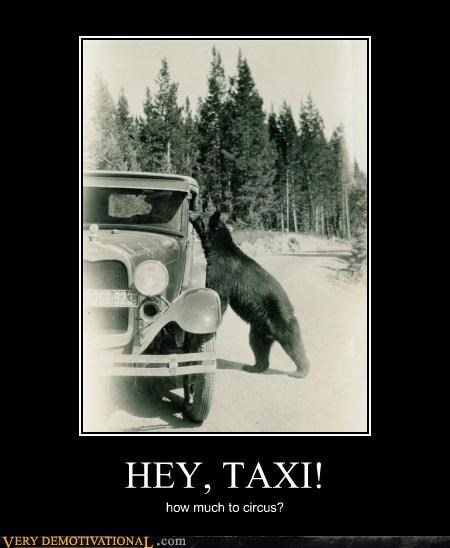 HEY, TAXI!