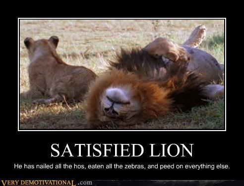 SATISFIED LION