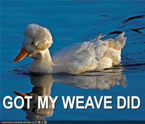 U Lewkin Sew Fly, Ducky!