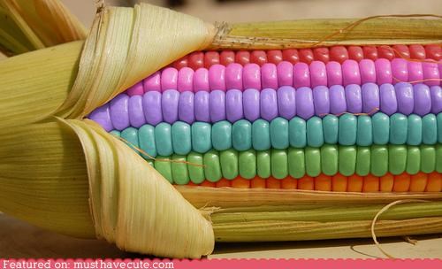 Epicute: Candy Corn