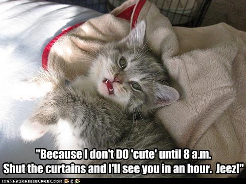 "Because I don't DO 'cute' until 8 a.m. Shut the curtains and I'll see you in an hour.  Jeez!"