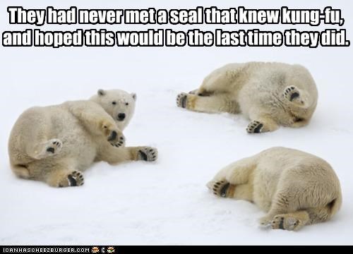 They had never met a seal that knew kung-fu, and hoped this would be the last time they did.