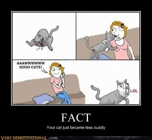 FACT