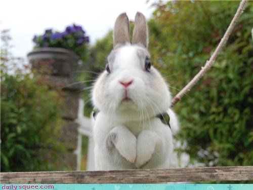 One Big Hop
