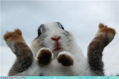Bunday: Raise the Roof!