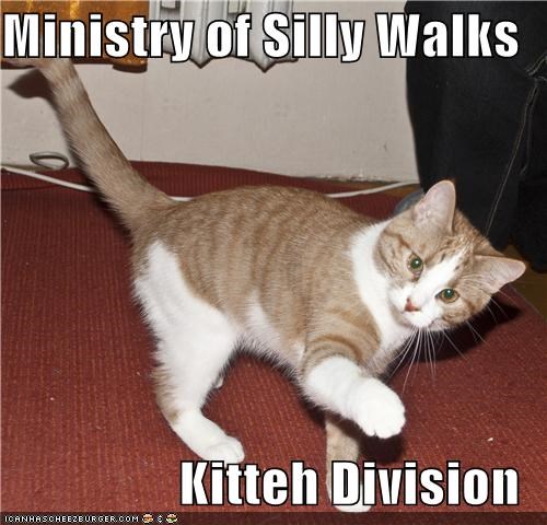 Ministry of Silly Walks  Kitteh Division