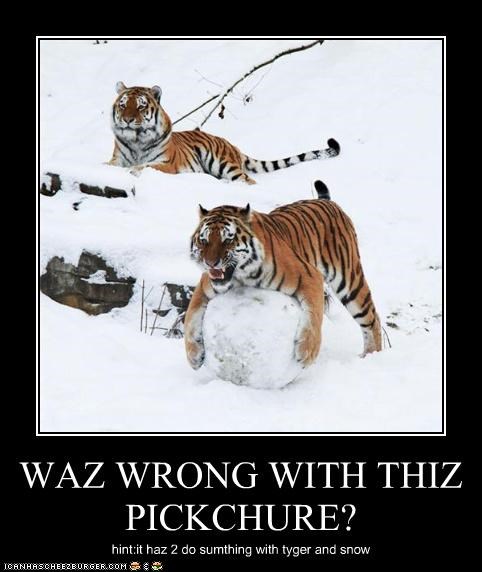 WAZ WRONG WITH THIZ PICKCHURE?