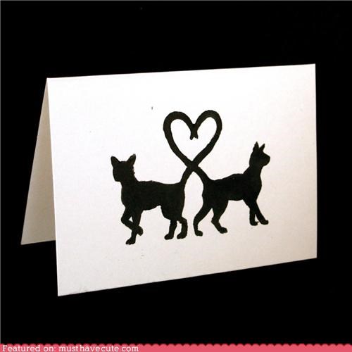 Kitty love