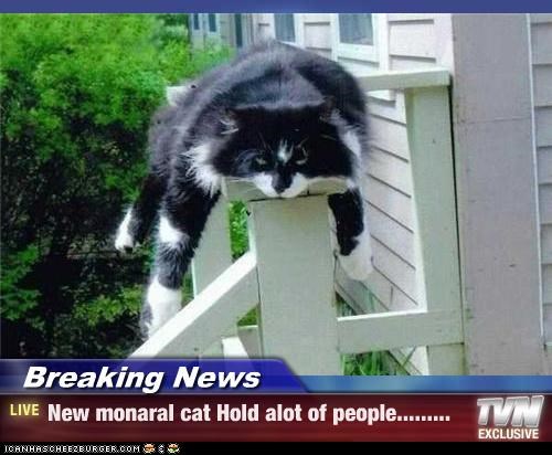 Breaking News - New monaral cat Hold alot of people.........
