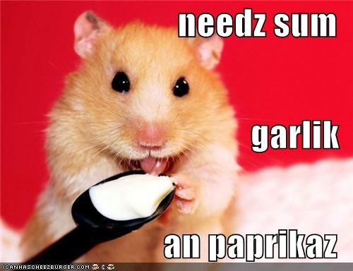 needz sum garlik an paprikaz