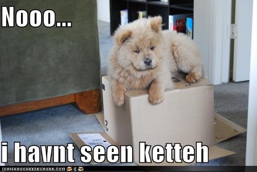 Nooo...  i havnt seen ketteh
