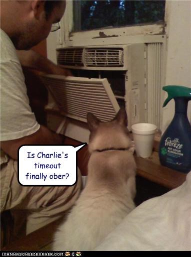 Is Charlie's timeout finally ober?