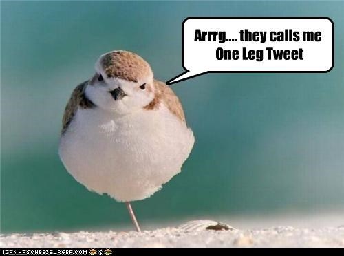 Arrrg.... they calls me  One Leg Tweet