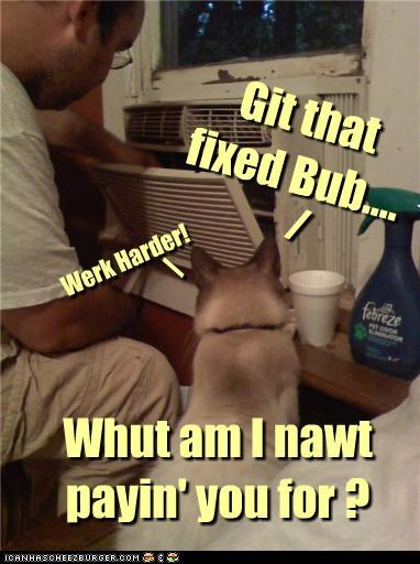 Git that fixed Bub....