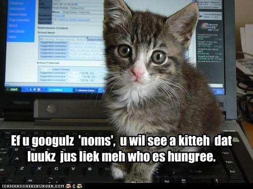 Ef u googulz  'noms',  u wil see a kitteh  dat luukz  jus liek meh who es hungree.