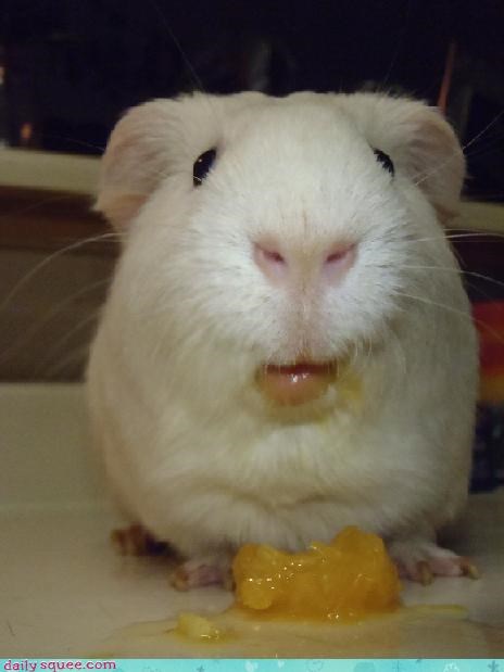 Reader Squees: Need a Napkin?