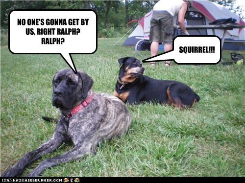 NO ONE'S GONNA GET BY US, RIGHT RALPH? RALPH?