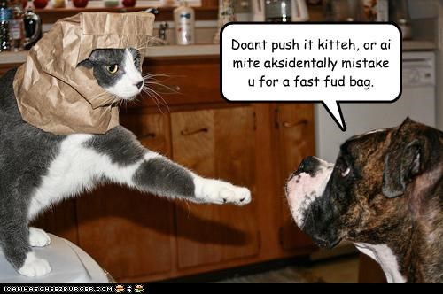 Doant push it kitteh, or ai mite aksidentally mistake u for a fast fud bag.