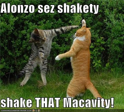 Alonzo sez shakety  shake THAT Macavity!