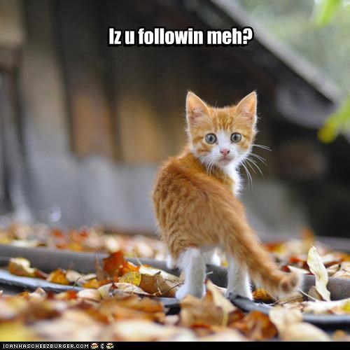 Iz u followin meh?