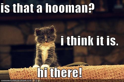 is that a hooman? i think it is. hi there!