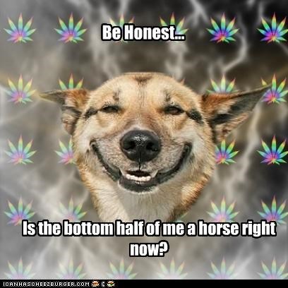 Be Honest...