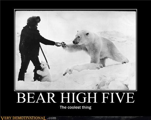 BEAR HIGH FIVE