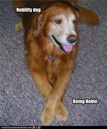 Nobility dog